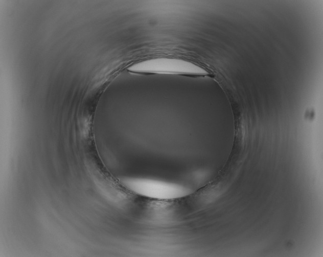 X0000111440139200907271139