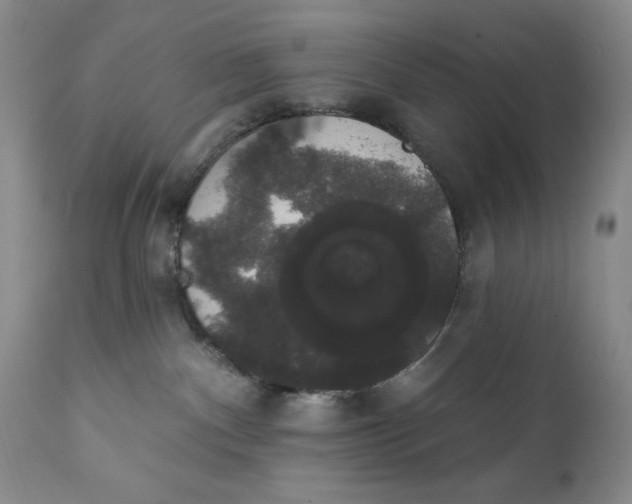 X0000111440140200907271139