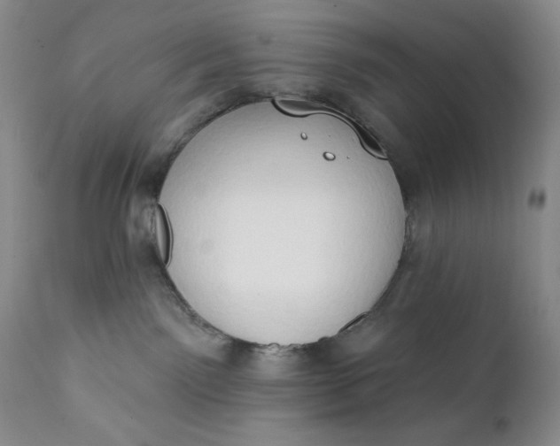 X0000111440141200907271139