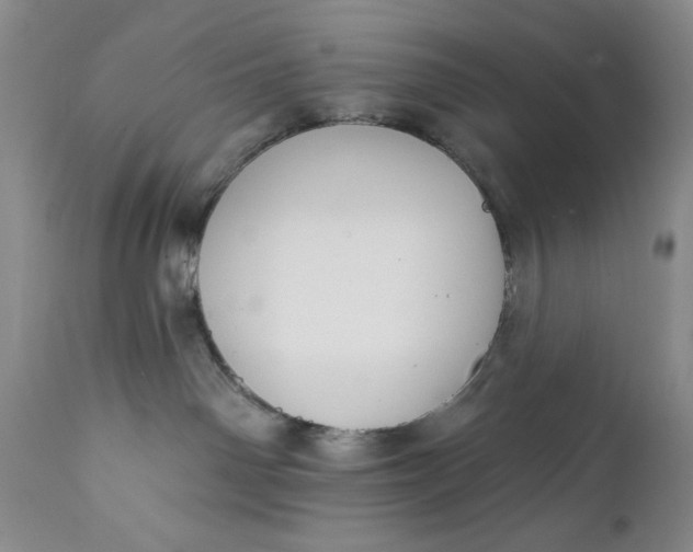 X0000111440142200907271139