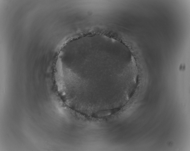 X0000111440144200907271139