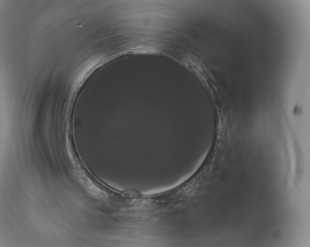 X0000111440145200907271138