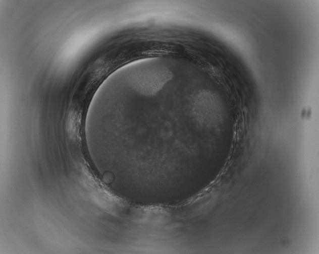 X0000111440146200907271138