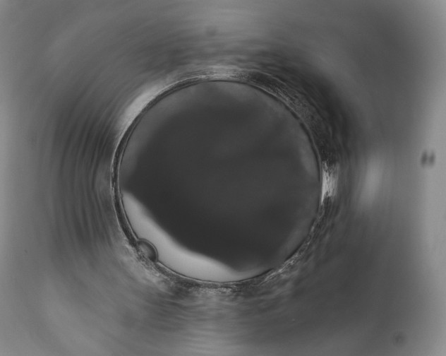 X0000111440147200907271138