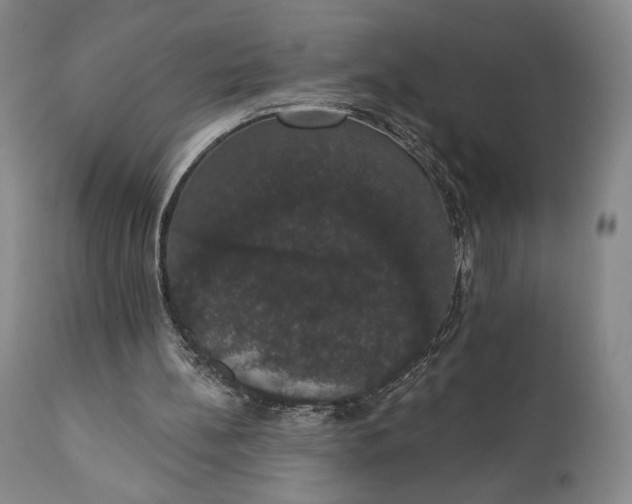 X0000111440148200907271138