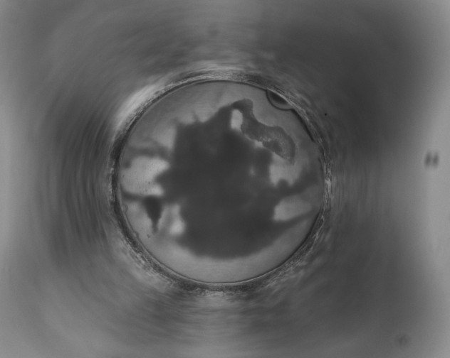 X0000111440149200907271138