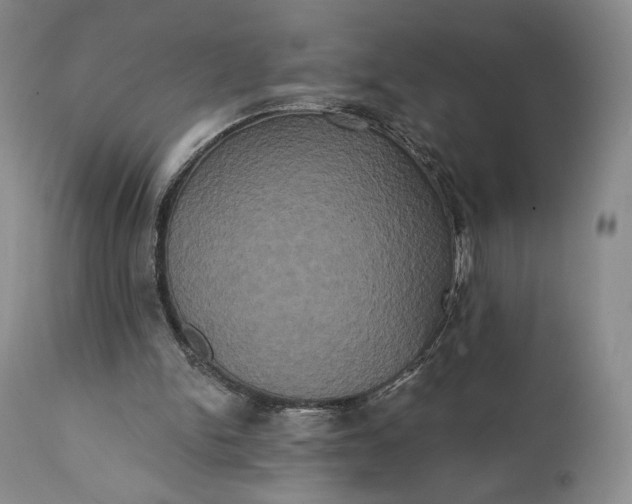 X0000111440150200907271138