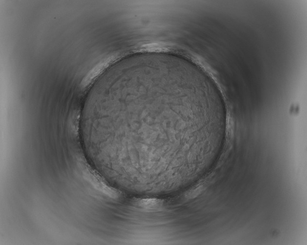 X0000111440153200907271138