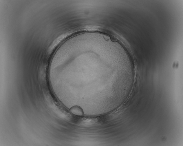 X0000111440155200907271138