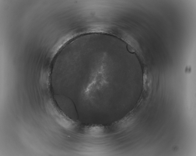 X0000111440156200907271138