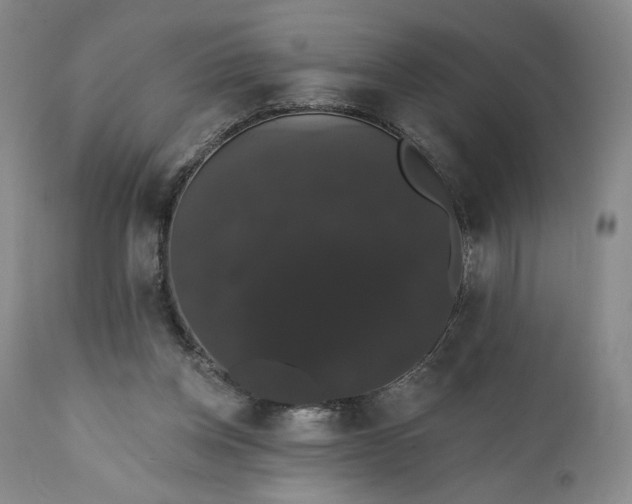 X0000111440158200907271138