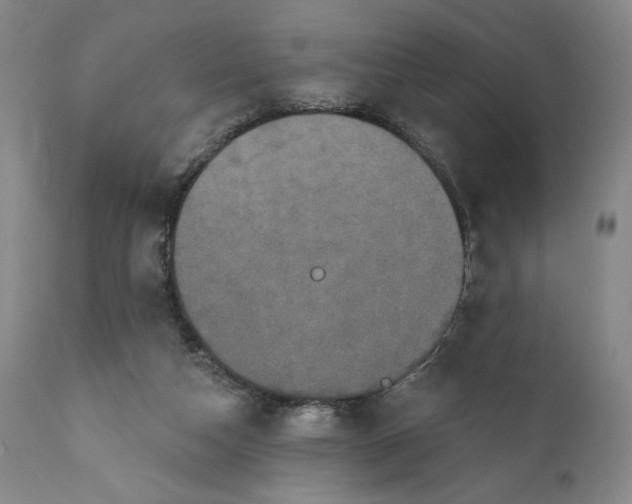 X0000111440162200907271138