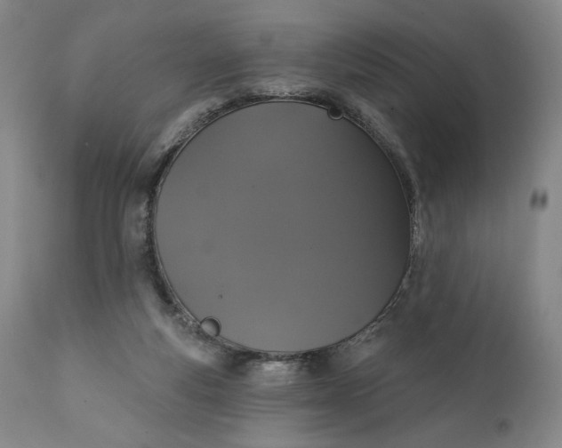 X0000111440163200907271138