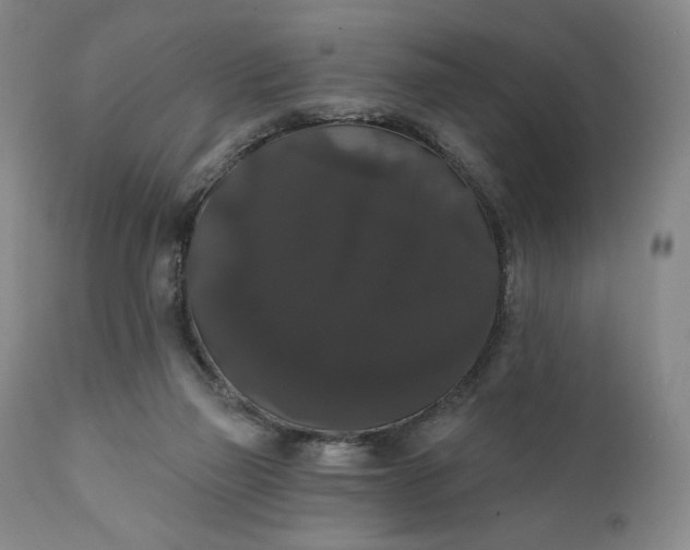 X0000111440165200907271138