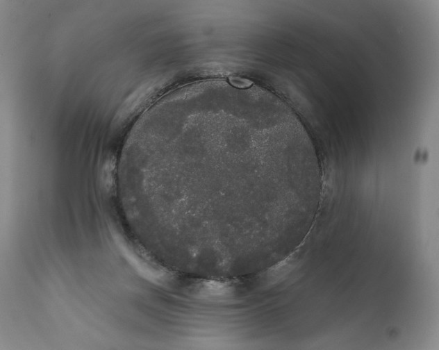 X0000111440166200907271138