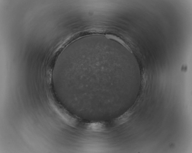 X0000111440168200907271138