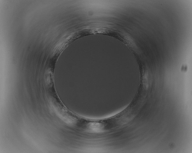 X0000111440169200907271138