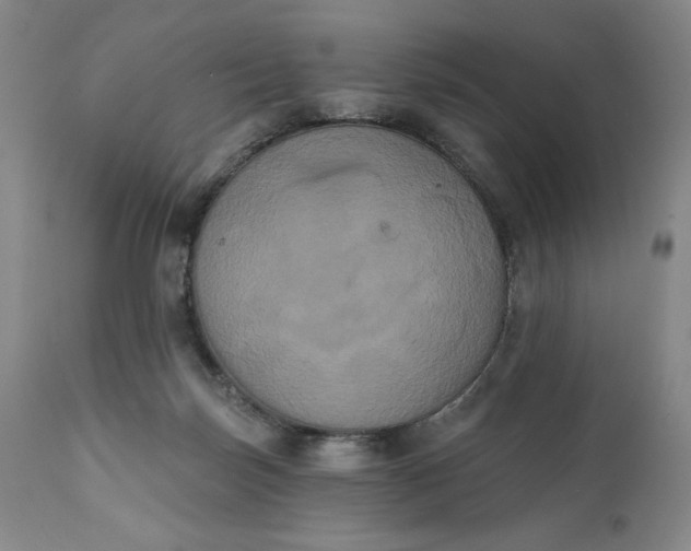 X0000111440171200907271138