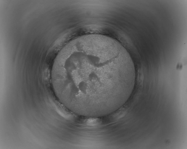 X0000111440173200907271138