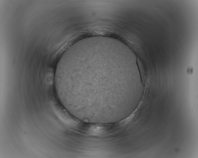 X0000111440174200907271138