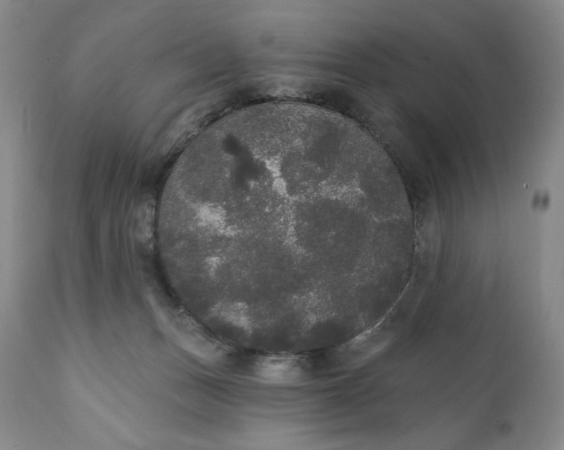 X0000111440175200907271138