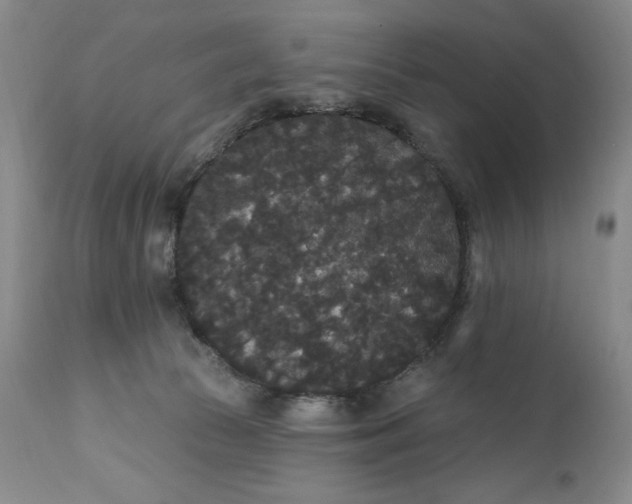 X0000111440177200907271138