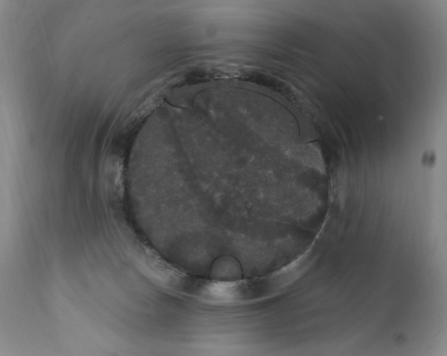 X0000111440178200907271138