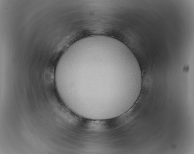 X0000111440179200907271138