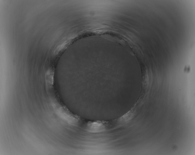 X0000111440180200907271139