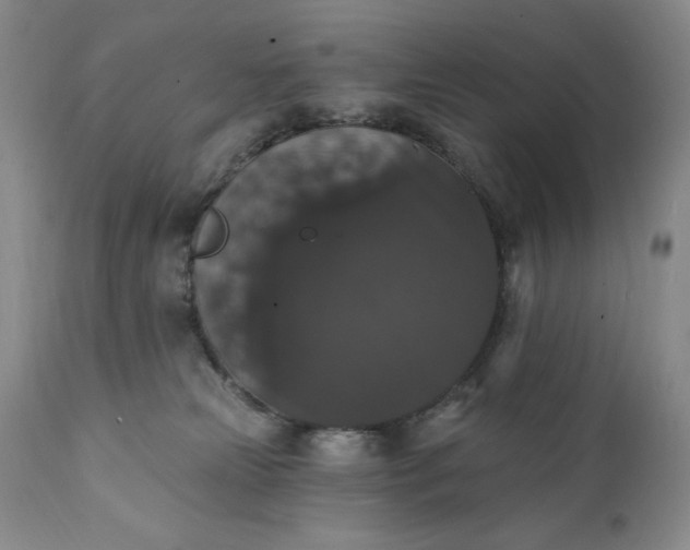 X0000111440181200907271139