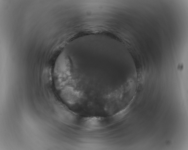 X0000111440182200907271139