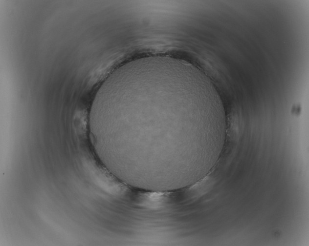 X0000111440184200907271139