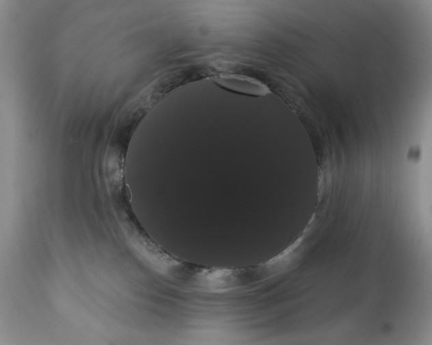 X0000111440186200907271139