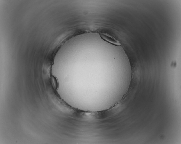 X0000111440188200907271139