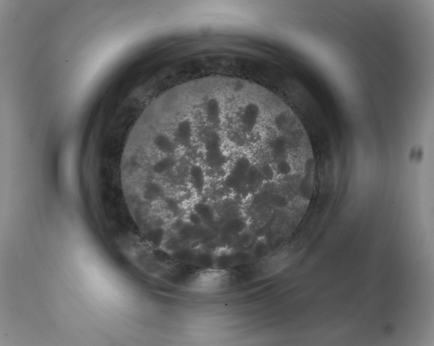 X0000111440189200907271139