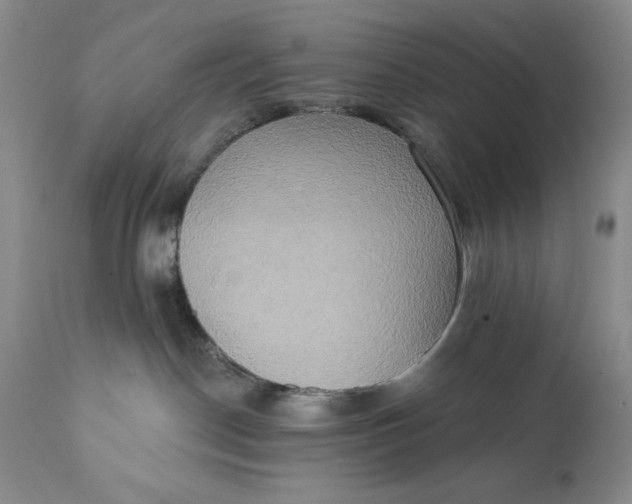 X0000111440190200907271139