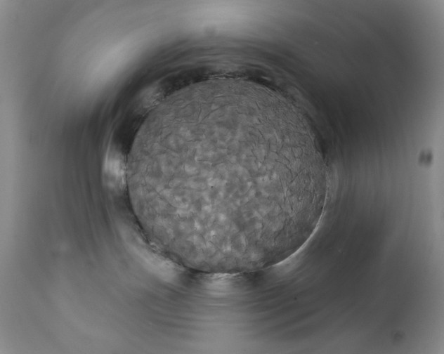 X0000111440191200907271139