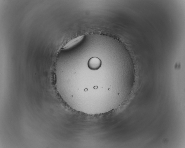 X0000111440192200907271139