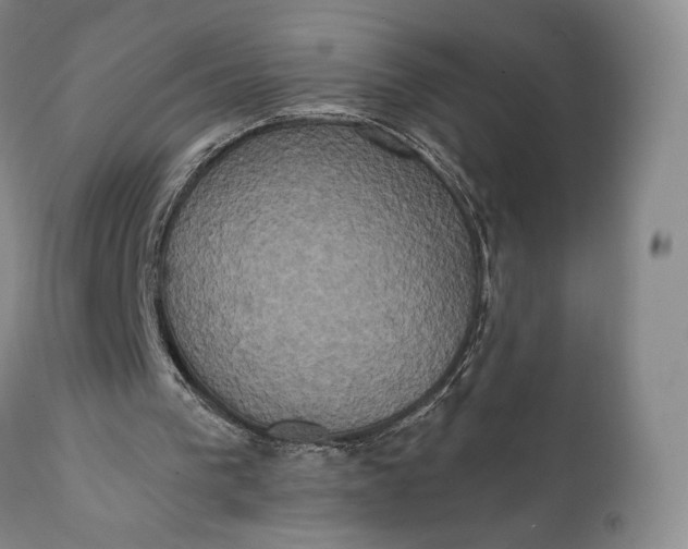 X0000111440193200907271138