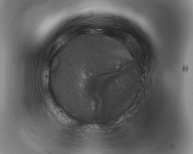 X0000111440194200907271138