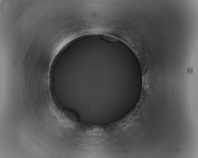 X0000111440196200907271138