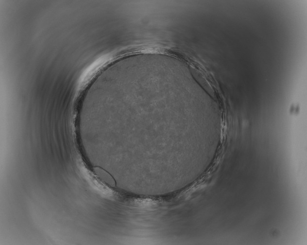 X0000111440197200907271138