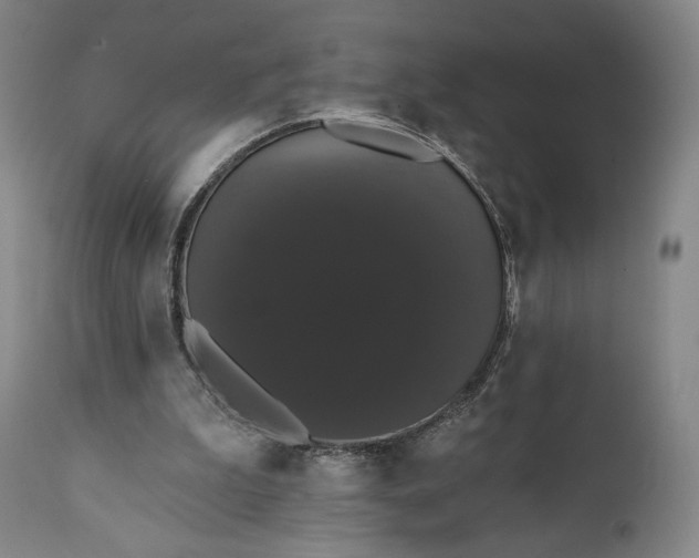 X0000111440199200907271138