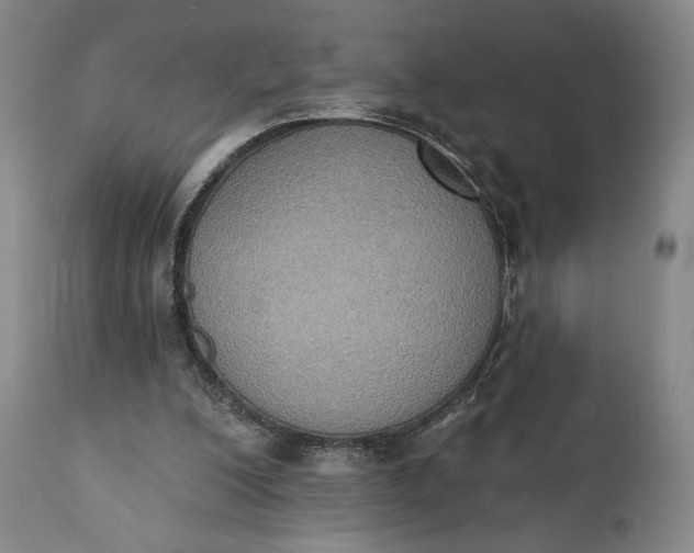 X0000111440200200907271138