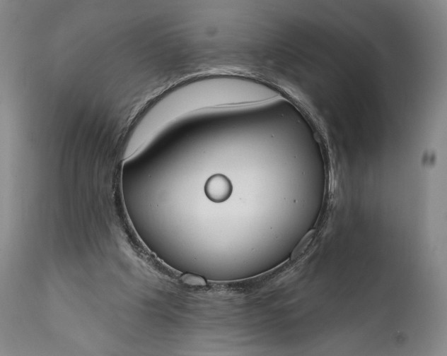 X0000111440201200907271138