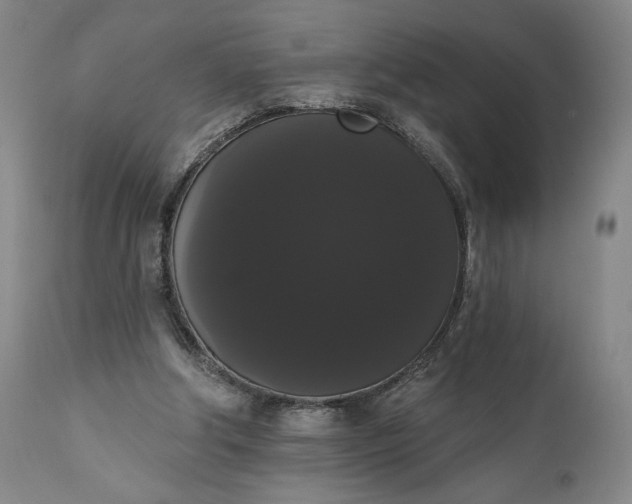 X0000111440202200907271138