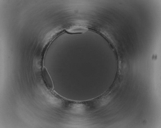 X0000111440203200907271138