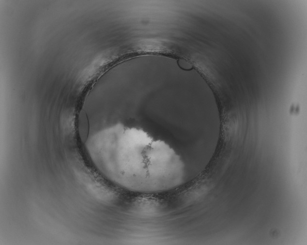 X0000111440207200907271138