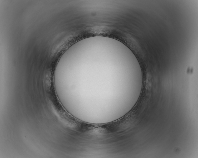 X0000111440210200907271138