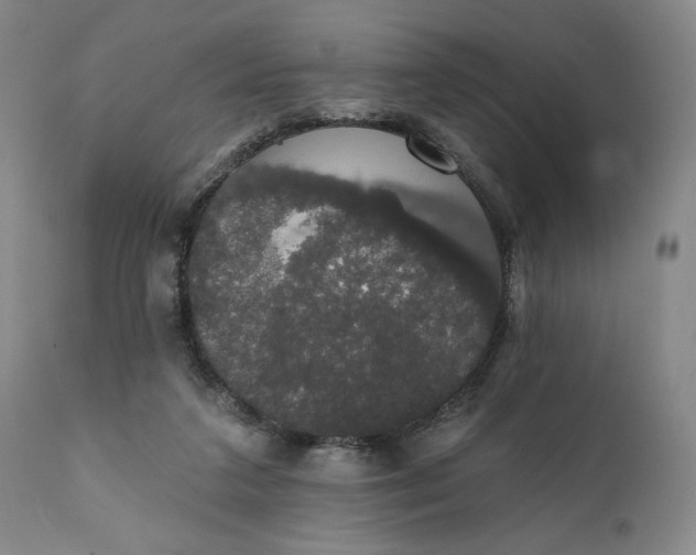 X0000111440211200907271138